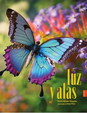 Imagen del producto 9788414056493