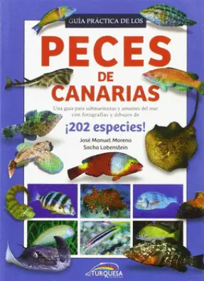 traducir('Imagen del producto ');9788415877745