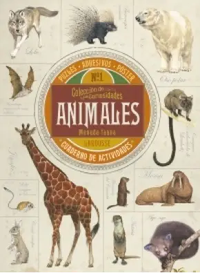 9788416641666