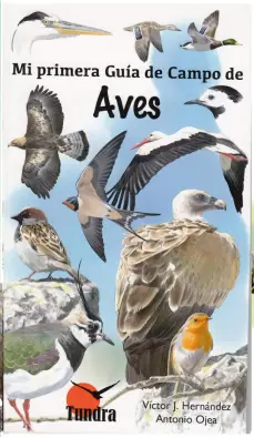 Imagen del producto 9788416702404