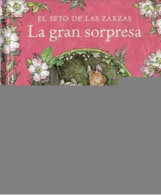  Imatge del producte9788417059934