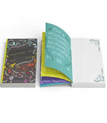 Imagen del producto 9788417651039