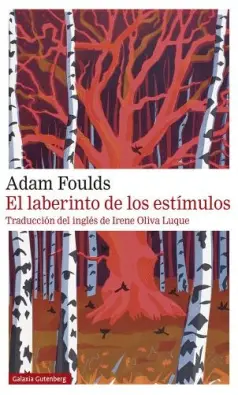 Imagen del producto 9788417747305