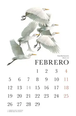 Imagen del producto 9788418735349