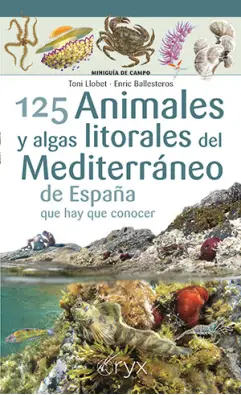 Imagen del producto 9788418735400