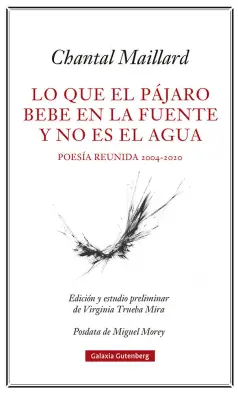Imagen del producto 9788418807633