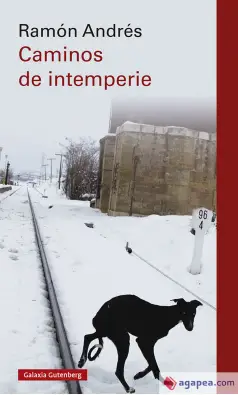 Imagen del producto 9788418807848