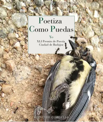 Imagen del producto 9788419124555