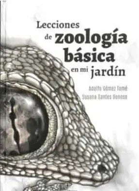 Imagen del producto 9788419372604