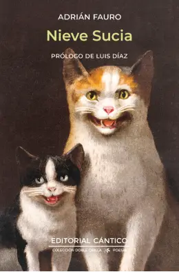 Imagen del producto 9788419387813