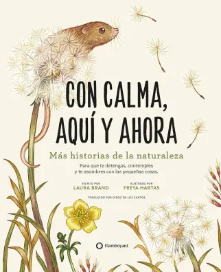  Imatge del producte9788419401113