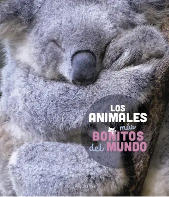 Imagen del producto 9788419436177