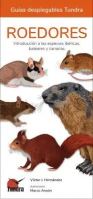 Imagen del producto 9788419624123