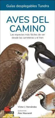 Imagen del producto 9788419664754