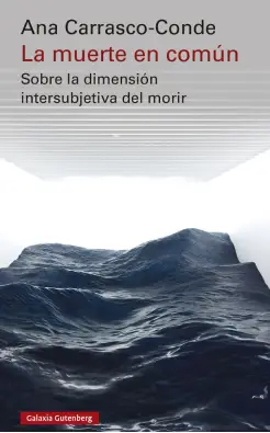 Imatge del producte 9788419738233