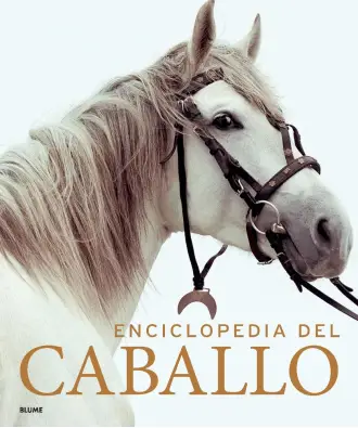 Imagen del producto 9788419785749