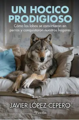 Imagen del producto 9788419878854