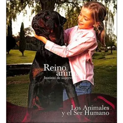 Imagen del producto 9788419909114