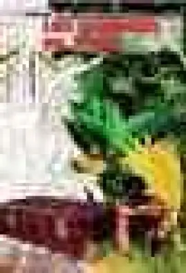 Imagen del producto 9788420469577