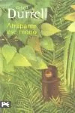 Imagen del producto 9788420663395