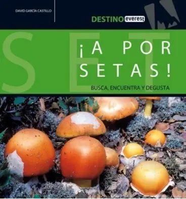 Imagen del producto 9788424105198
