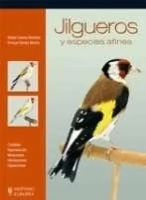 Imagen del producto 9788425517273