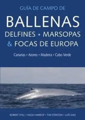 Imagen del producto 9788428217439