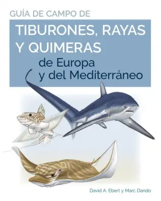 Imagen del producto 9788428217446