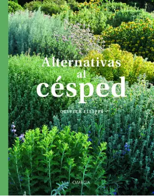 Imagen del producto 9788428217842