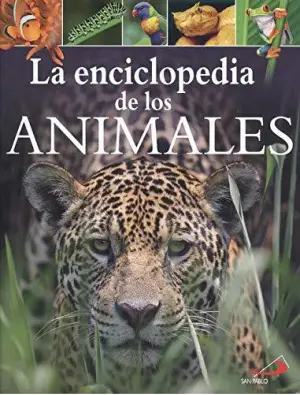 Imagen del producto 9788428557511