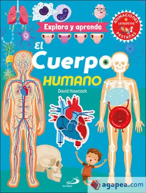 Imagen del producto 9788428560467