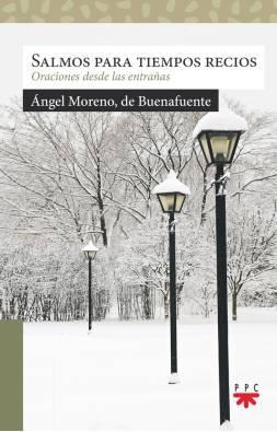 Imagen del producto 9788428837415