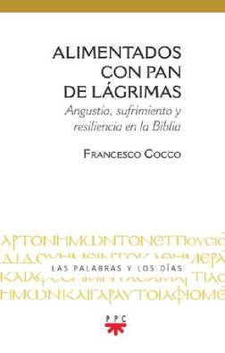 Imagen del producto 9788428843560