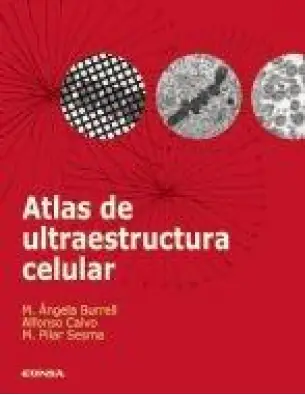 Imagen del producto 9788431326494