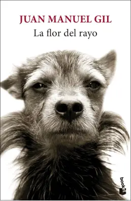 Imagen del producto 9788432244827