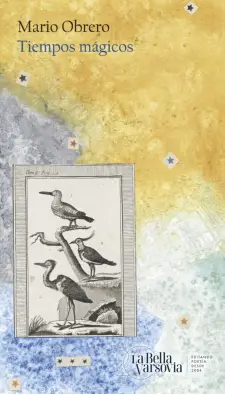 Imagen del producto 9788433922946