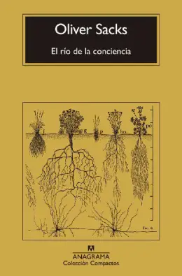 Imagen del producto 9788433946867