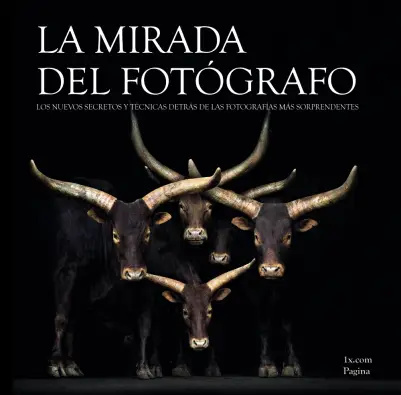 Imagen del producto 9788441534254