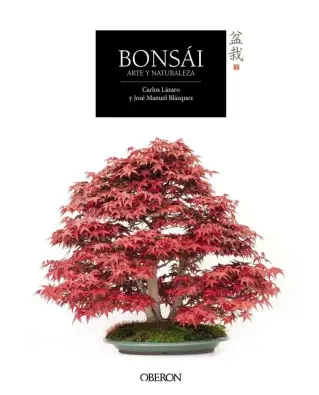 Imagen del producto 9788441537118