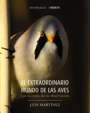 Imagen del producto 9788441540330