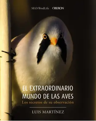 Imagen del producto 9788441540330