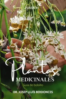 Imagen del producto 9788441549463
