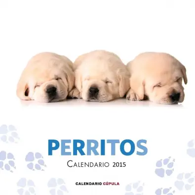 Imagen del producto 9788448019747