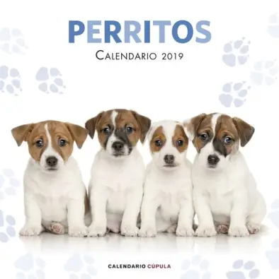 Imagen del producto 9788448024642