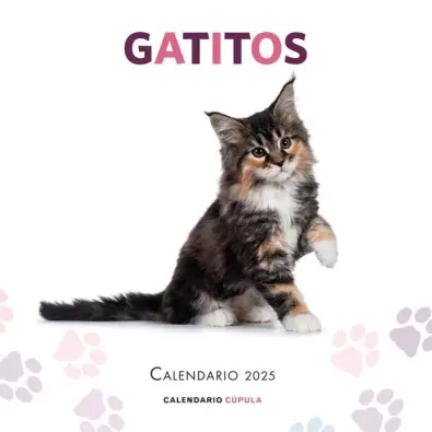 traducir('Imagen del producto ');9788448041656