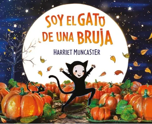 Imagen del producto 9788448856298