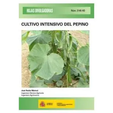 Imagen del producto 9788449114069