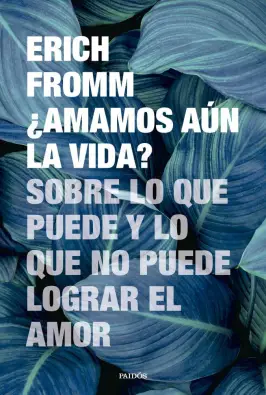 Imagen del producto 9788449343681