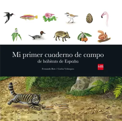 Imagen del producto 9788467563566