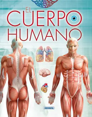 Imagen del producto 9788467740066